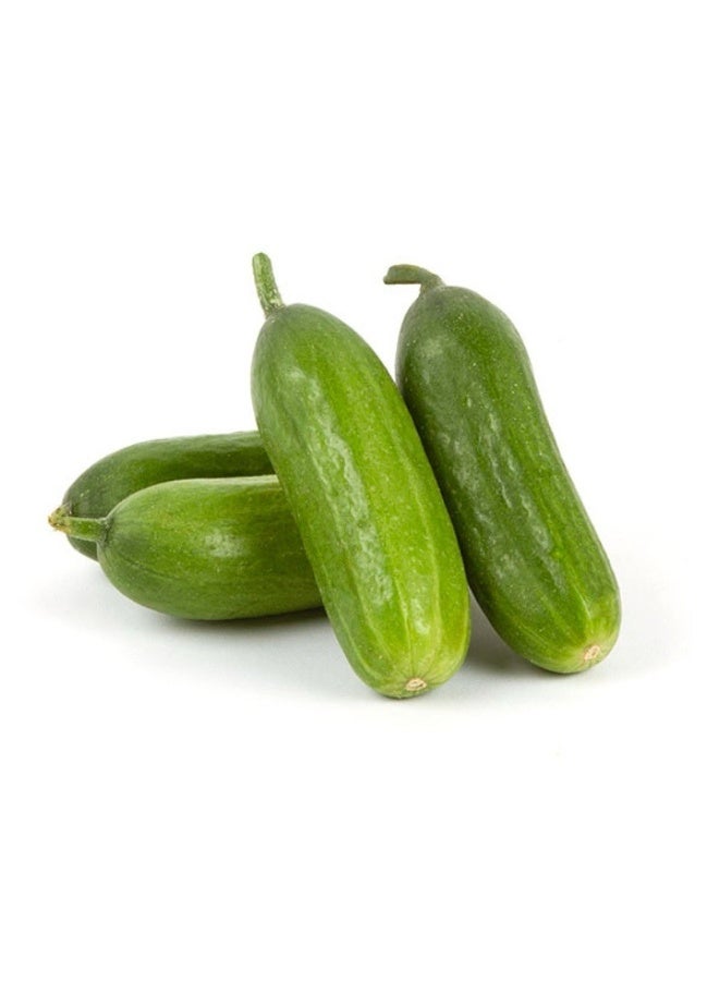 Cucumbers Orzu 500g
